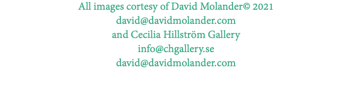 All images cortesy of David Molander© 2021 david@davidmolander.com and Cecilia Hillström Gallery info@chgallery.se david@davidmolander.com 