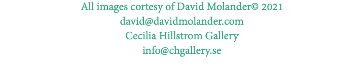 All images cortesy of David Molander© 2021 david@davidmolander.com Cecilia Hillstrom Gallery info@chgallery.se 