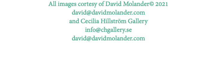 All images cortesy of David Molander© 2021 david@davidmolander.com and Cecilia Hillström Gallery info@chgallery.se david@davidmolander.com 