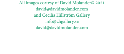 All images cortesy of David Molander© 2021 david@davidmolander.com and Cecilia Hillström Gallery info@chgallery.se david@davidmolander.com 